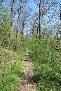 Přírodní park Smetanka