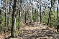 Přírodní park Smetanka - před námi je  vrcholu Tábor