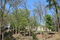 Ohradní zeď u Jiránkovy vily