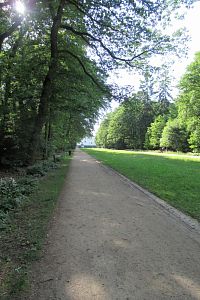 Jedna z hlavních tras v Oboře Hvězda