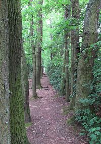 Větrolam