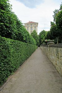 Zahrada Černínského paláce - tato ulička od sebe odděluje  francouzskou zahradu a anglický park