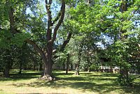 Husův park