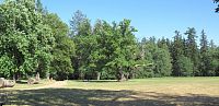 Anglický park