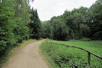 Lesopark Litavka
