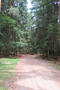 Lesopark Litavka