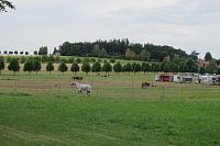 Martinice