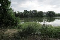 Rybník Kolečko