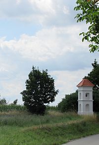 Na silnici č. 449