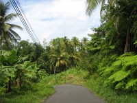 Dominika-cesta po vnitrozemí