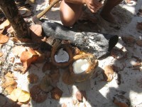 Guadeloupe-půlíme kokos