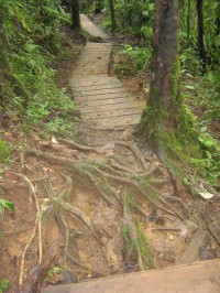 Guadeloupe-cesta od vodopádů Carbet Falls