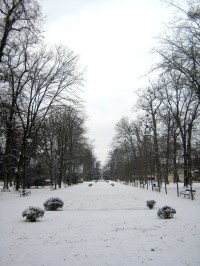 Přerov - park Michalov