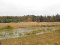 Dolní rybník - poslední pohled