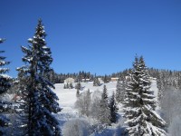 Zimní pěší trasa - z Modravy přes Tříjezerní slať a Rokytu zpátky na Modravu