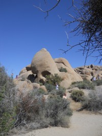 Skull Rock