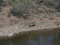 Lake Pleasant