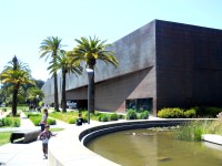 Fine Arts Museums