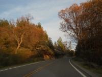 Z cesty z Mariposa Grove do Sequoia parku