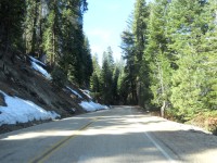 Z cesty do Sequoia parku