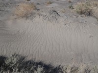 Death Valley (Údolí smrti)