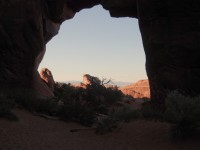 Arches - Pine Tree Arch