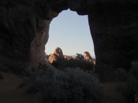 Pine Tree Arch