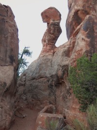 Devils Garden Trailhead