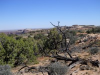 Cesta od Mesa Arch