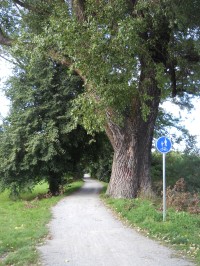 Kilometrovka - směrem na Lochotín