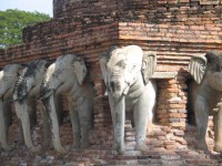 Znak thajského štěstí - bílý slon