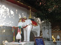 Bílý slon - zakladatel chrámu