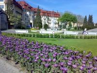 Hotel Themal Palace a fialové tulipány
