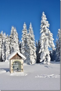 Zima v regionu HOCHsteiermark – námluvy na sněhu, kulinářské hody se srnčím, lyžování zdar!