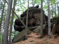 Oldřichovské sedlo - skalní útvar Gorila