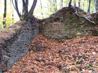 Pozůstatky hradu Vartnova