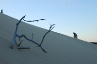 Dune de Pilat - oběť duny