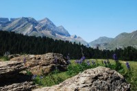 Cestou k vodopádu Gavarnie