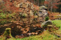 skalní jezírko na podzim