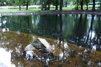 Rybníček v českolipském parku