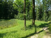 Rozcestí k Šostýnu - poled od cesty k Raškově skále