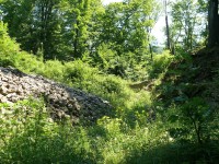 Zarostlá část Šostýna