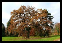 zámecký park