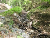 Obr.4  Umělé splávky v říčce tekoucí podél lesní cesty byly zbudovány za účelem zadržování vody a odchovu plůdků pstruha