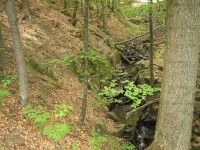 Obr.5  Přirozené skalnaté splávky v říčce, která znovu protéká strží pod cestou