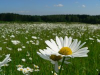 fotka uživatele Nikiticka