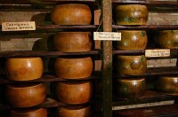 Cavallino Bianco - zrání sýrů ve sklepě