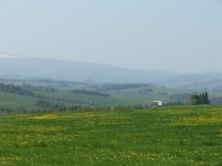 výhled na hlavní hřeben Hrubého Jeseníku