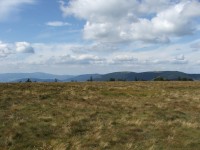 Pecný - panorama Jeseníků