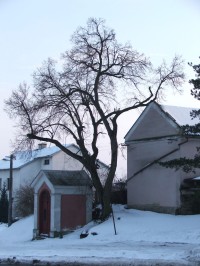 Mladějovická kaple pod kostelem
